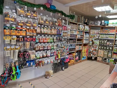 Sklep zoologiczny - Psikot